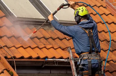 Démoussage et hydrofuge de toiture à Vignolles